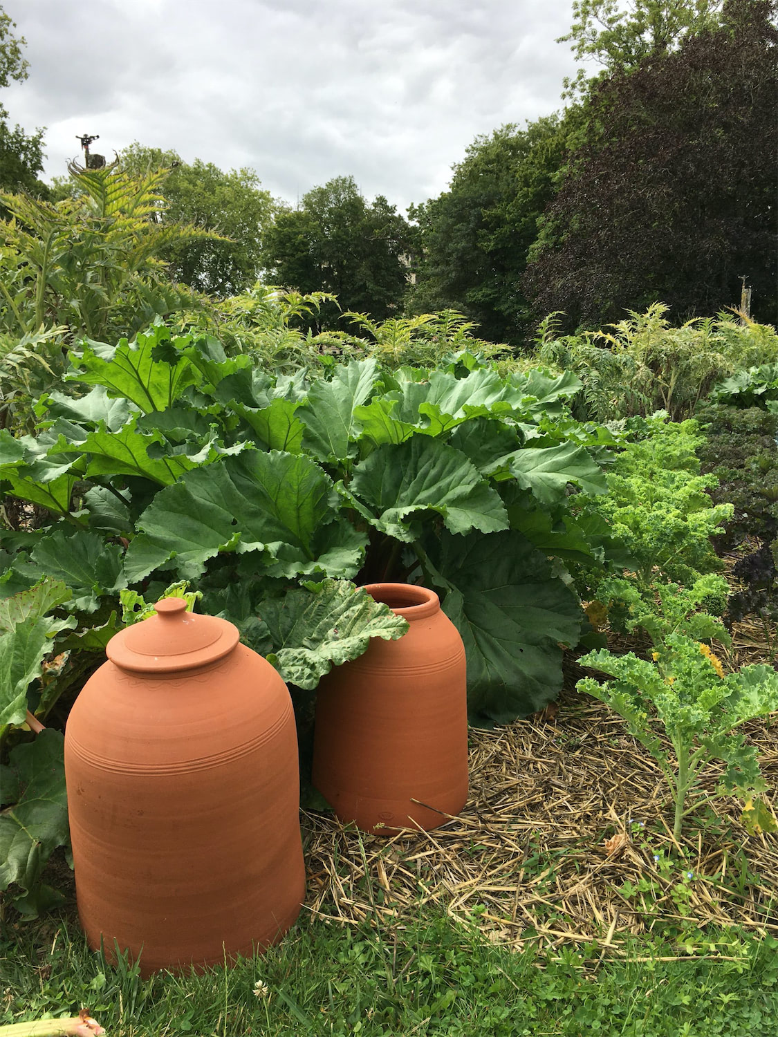 aspeja-jardins-anjou-5